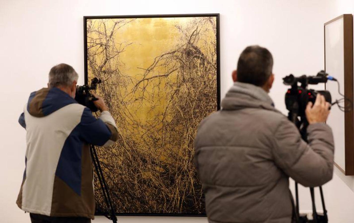 La exposición del premio de fotografía Pilar Citoler en Córdoba, en imágenes