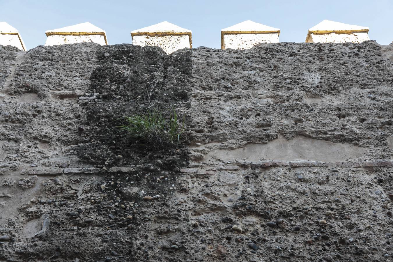 La muralla de la Macarena luce ya nueva imagen