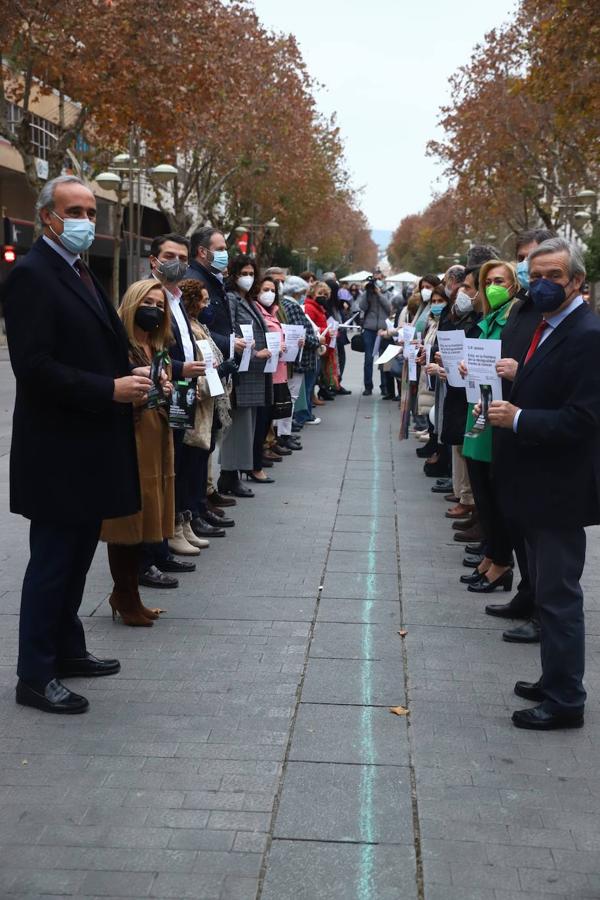 Los actos del día contra el cáncer en Córdoba, en imágenes