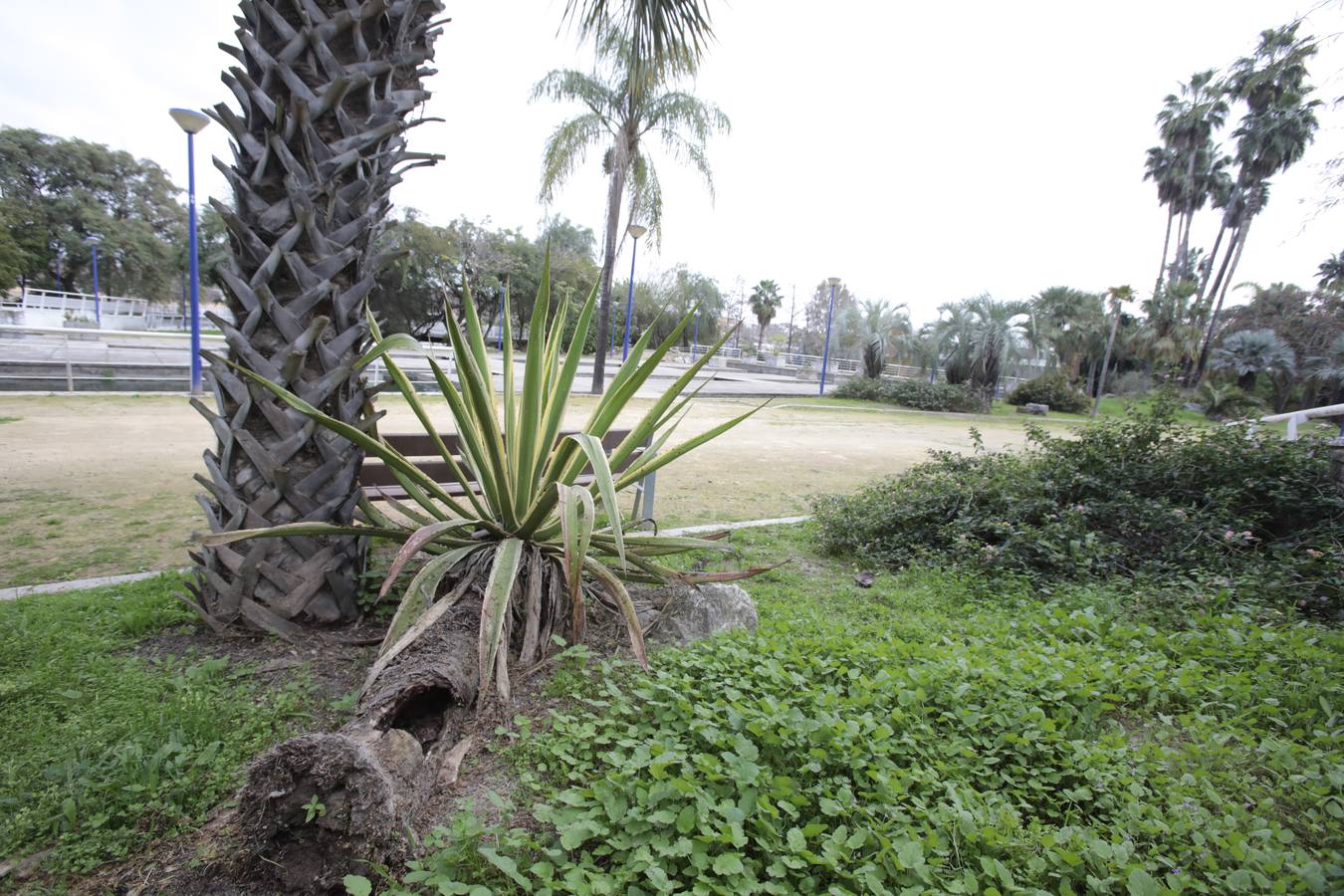 Jardín americano