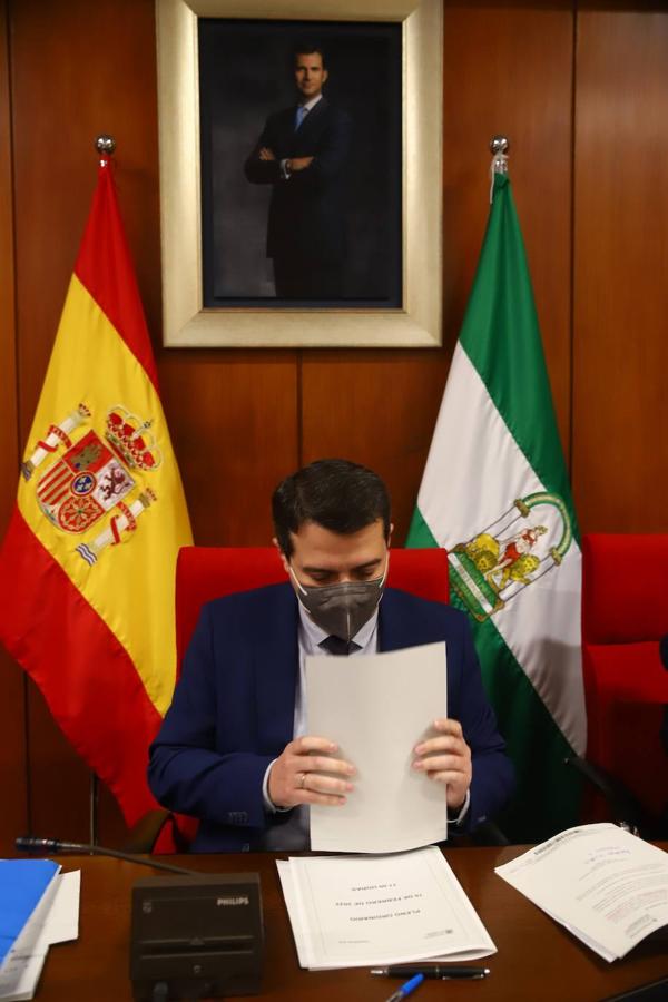 El Pleno del Ayuntamiento de Córdoba, en imágenes