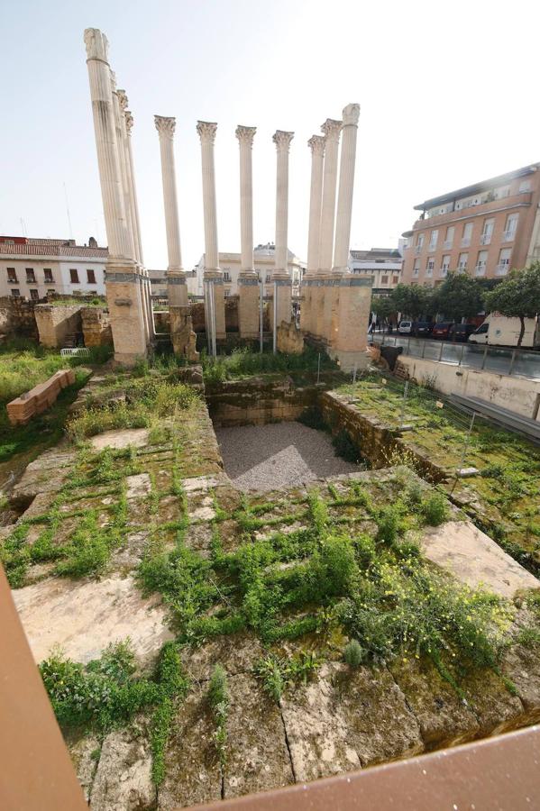 El descuido del Templo Romano de Córdoba, en imágenes