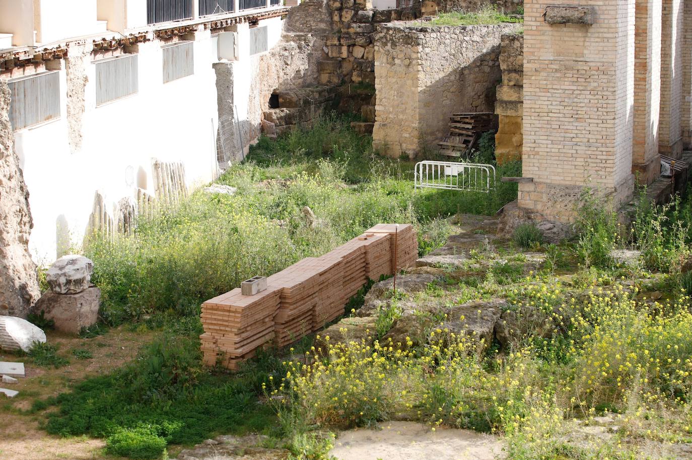 El descuido del Templo Romano de Córdoba, en imágenes