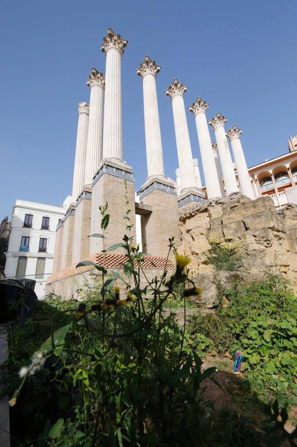 El descuido del Templo Romano de Córdoba, en imágenes