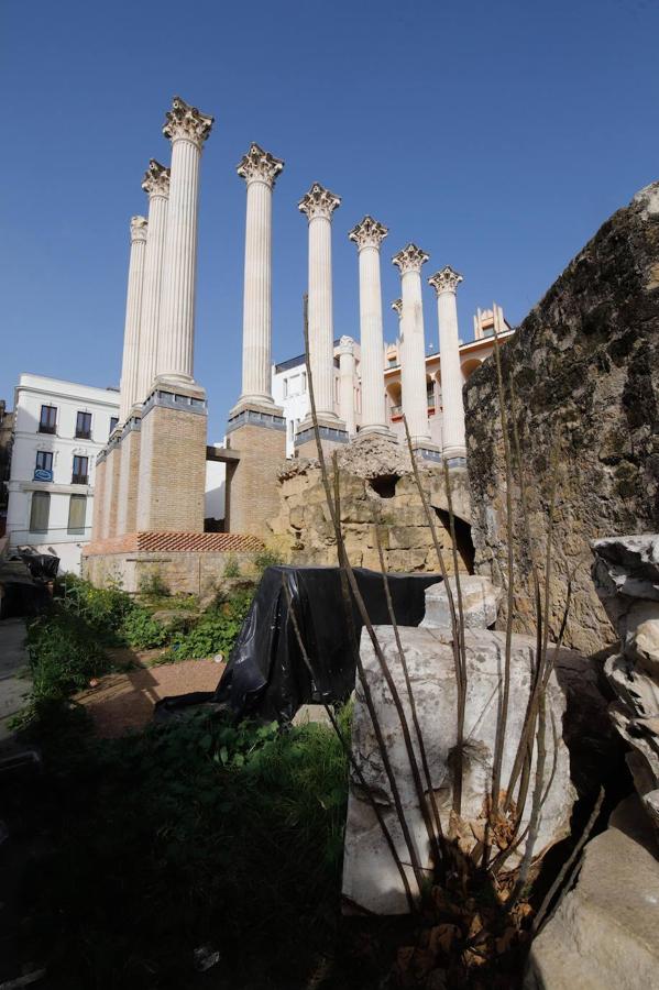 El descuido del Templo Romano de Córdoba, en imágenes