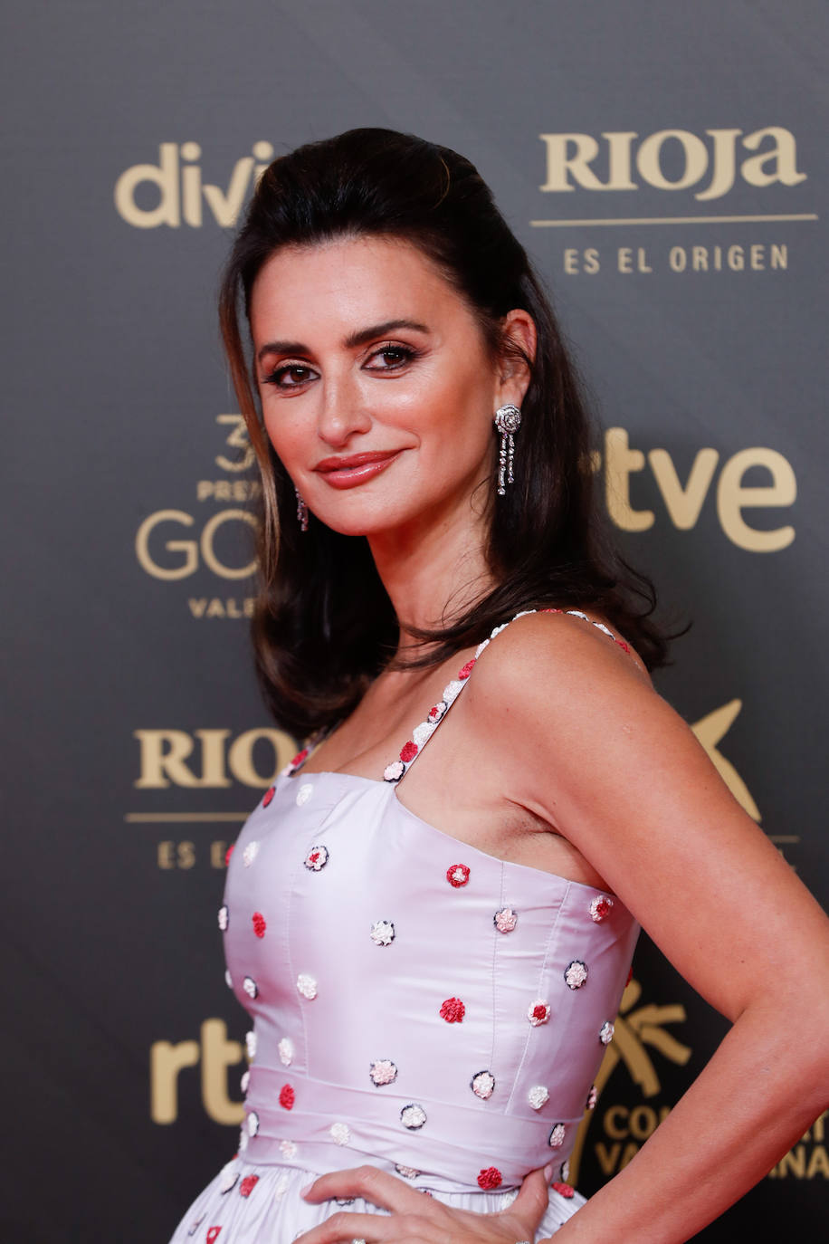 Penélope Cruz con semirrecogido en los Premios Goya 2022. La intérprete, nominada en la categoría de Mejor Actriz, ha posado en la alfombra roja con un semirrecogido que ha acompañado por un favorecedor maquillaje. Penélope ha enmarcado su mirada con lápiz de ojos negro y máscara de pestañas, y en los labios un pintalabios melocotón con acabado gloss.