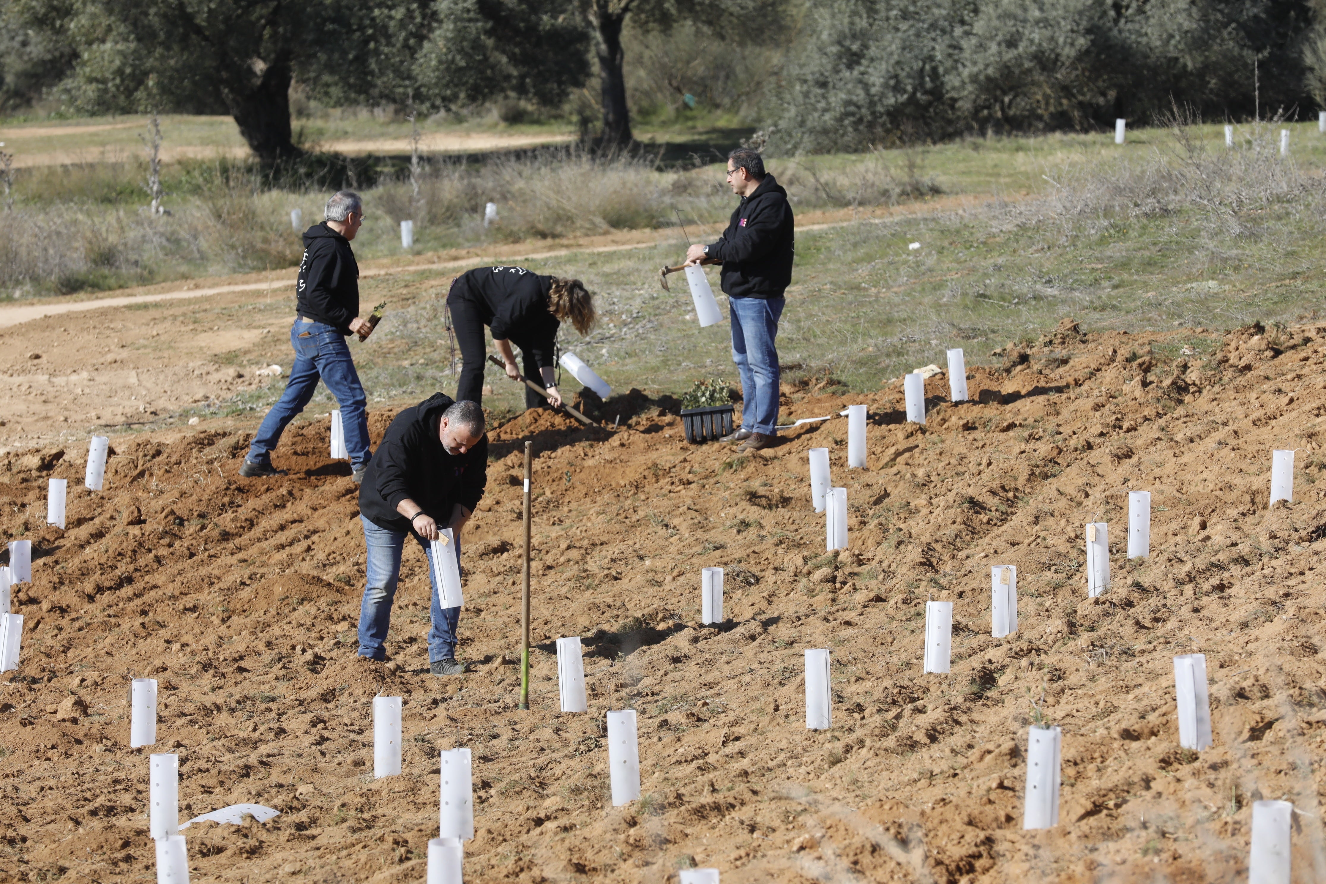 El parque periurbano de El Patriarca de Córdoba, en imágenes