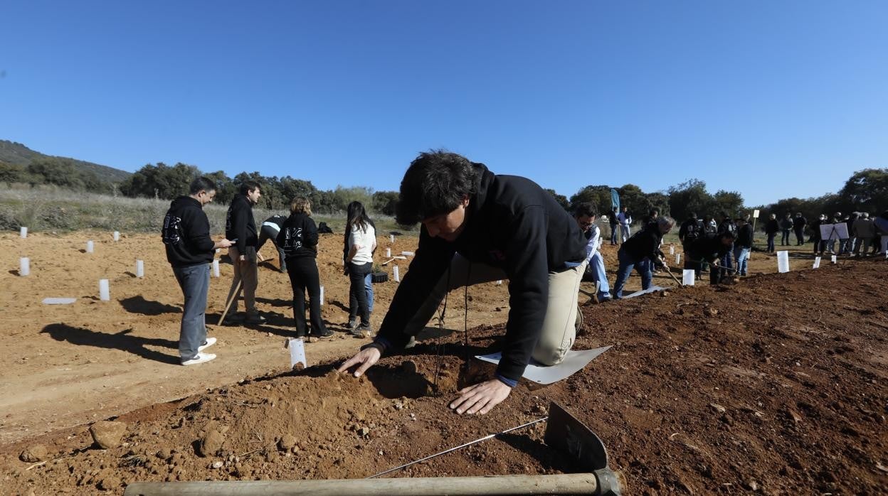 El parque periurbano de El Patriarca de Córdoba, en imágenes