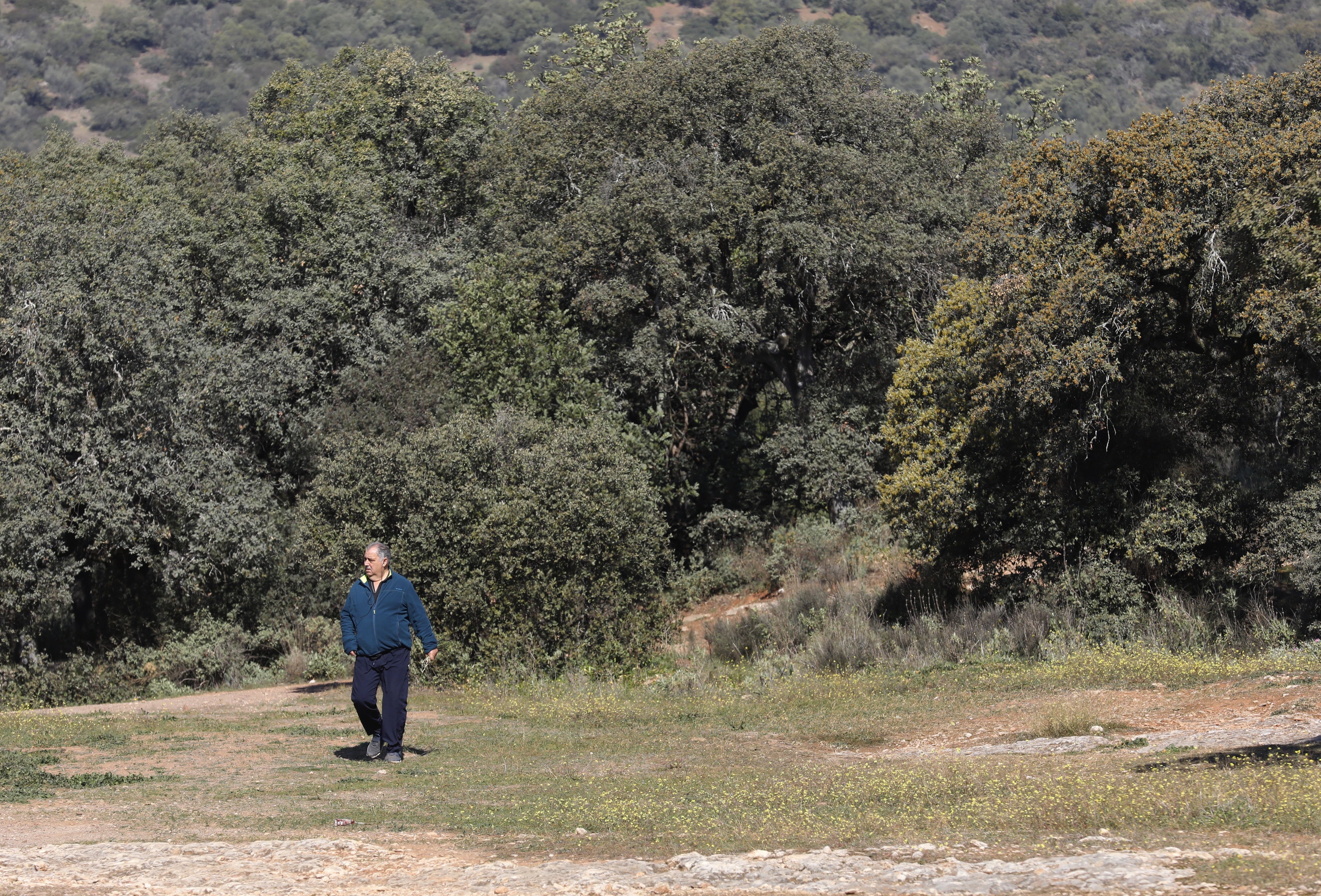 El parque periurbano de El Patriarca de Córdoba, en imágenes