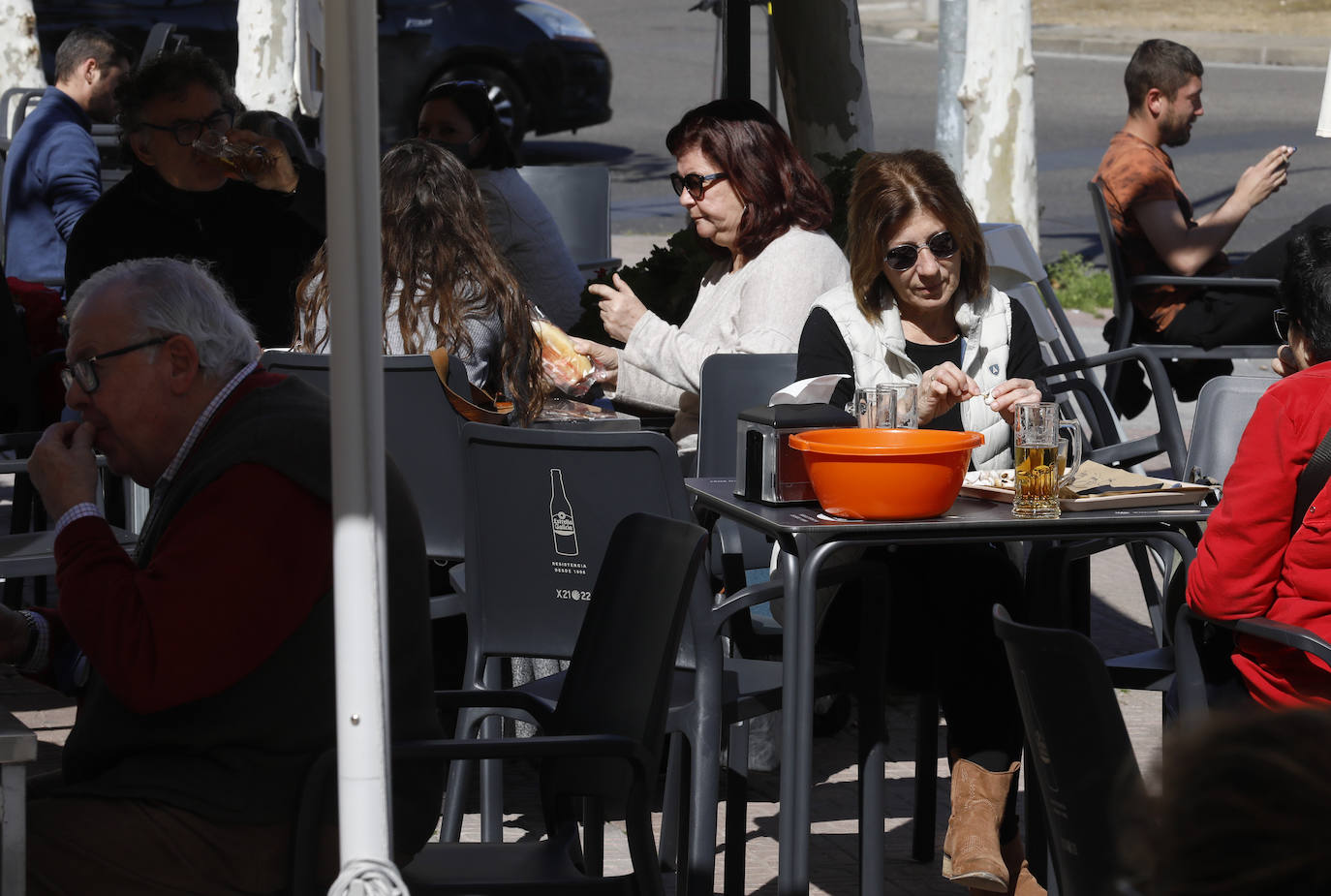 El inicio de la temporada de caracoles en Córdoba, en imágenes