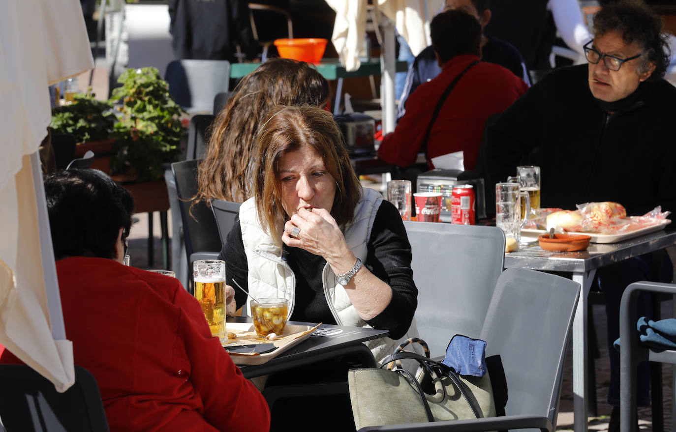 El inicio de la temporada de caracoles en Córdoba, en imágenes