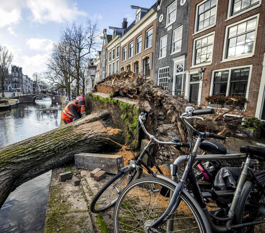 Los estragos de Eunice en Ámsterdam. 