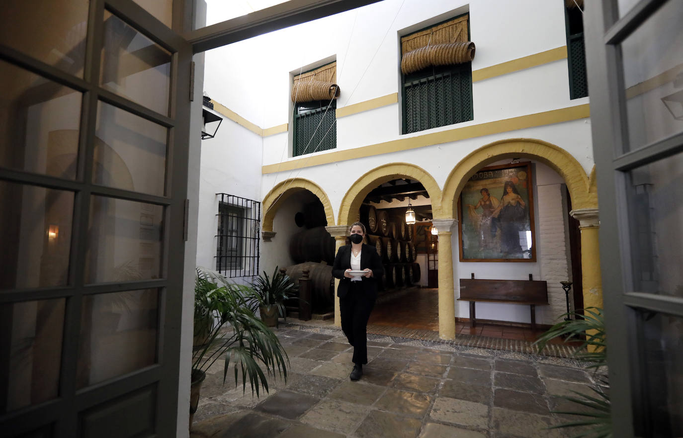 En imágenes, los patios de Bodegas Campos en Córdoba y la casa de Badanas, 15