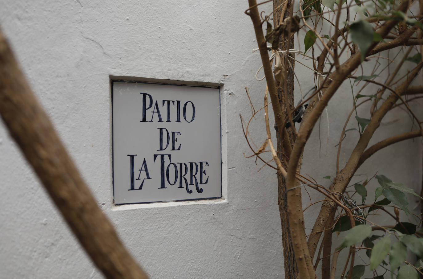 En imágenes, los patios de Bodegas Campos en Córdoba y la casa de Badanas, 15