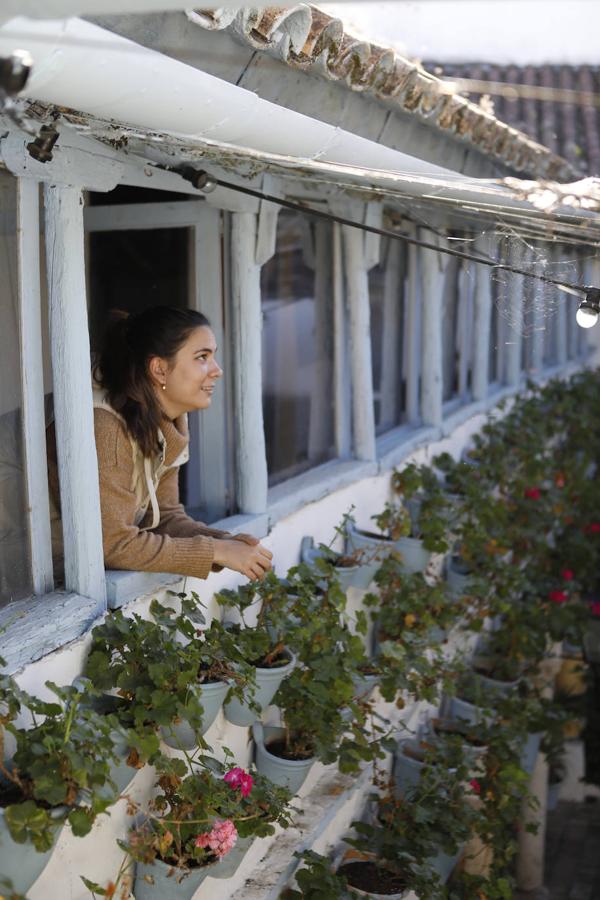 En imágenes, los patios de Bodegas Campos en Córdoba y la casa de Badanas, 15