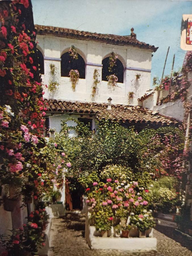 En imágenes, los patios de Bodegas Campos en Córdoba y la casa de Badanas, 15