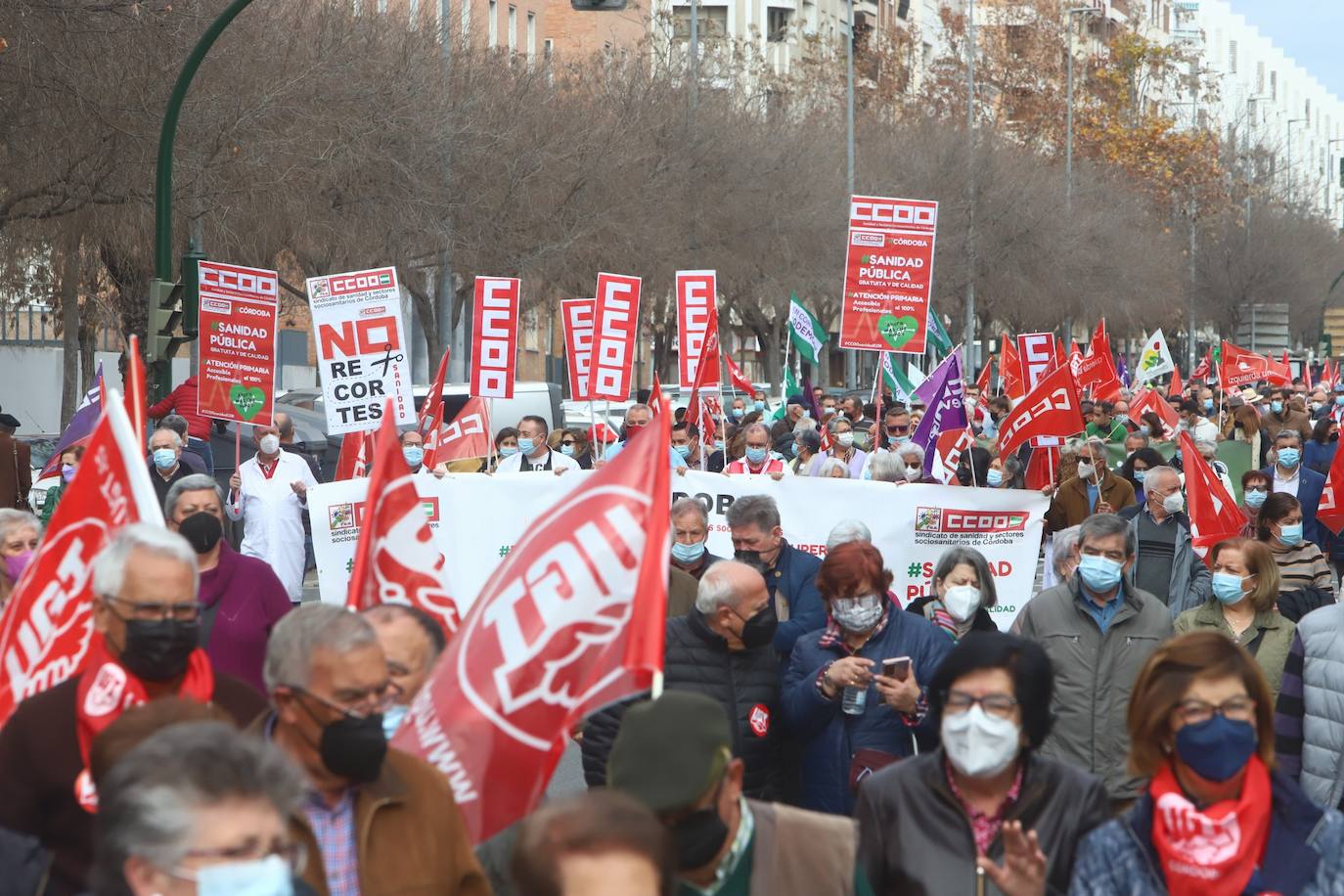 La manifestación en defensa de la sanidad pública en Córdoba, en imágenes