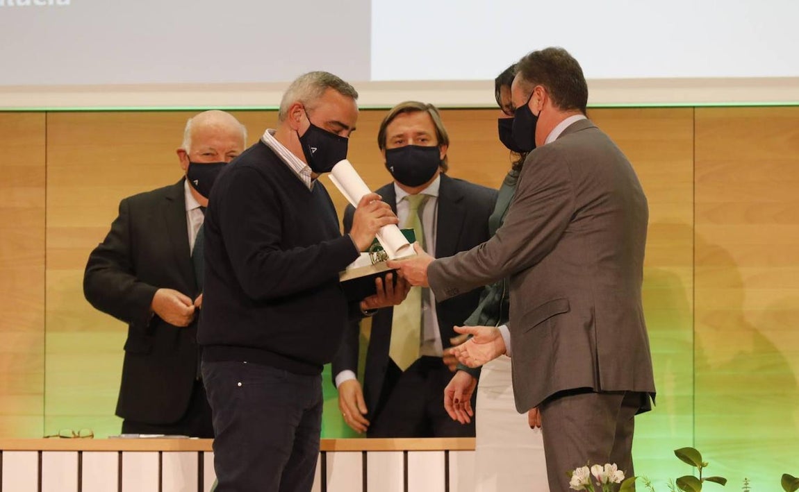 La entrega de las banderas de Andalucía en Córdoba, en imágenes