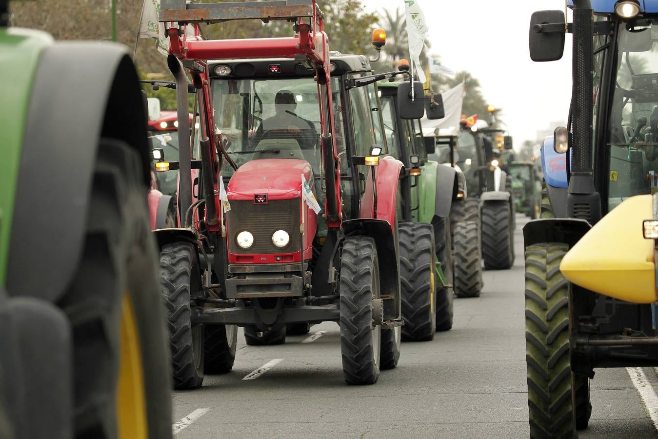 En imágenes, los agricultores andaluces piden medidas para garantizar la viabilidad del campo