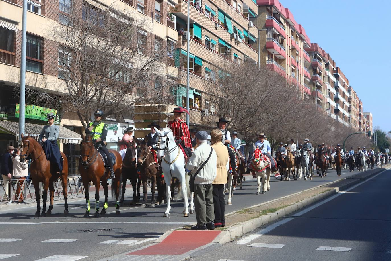 La Marcha Hípica por el día de Andalucía en Córdoba, en imágenes