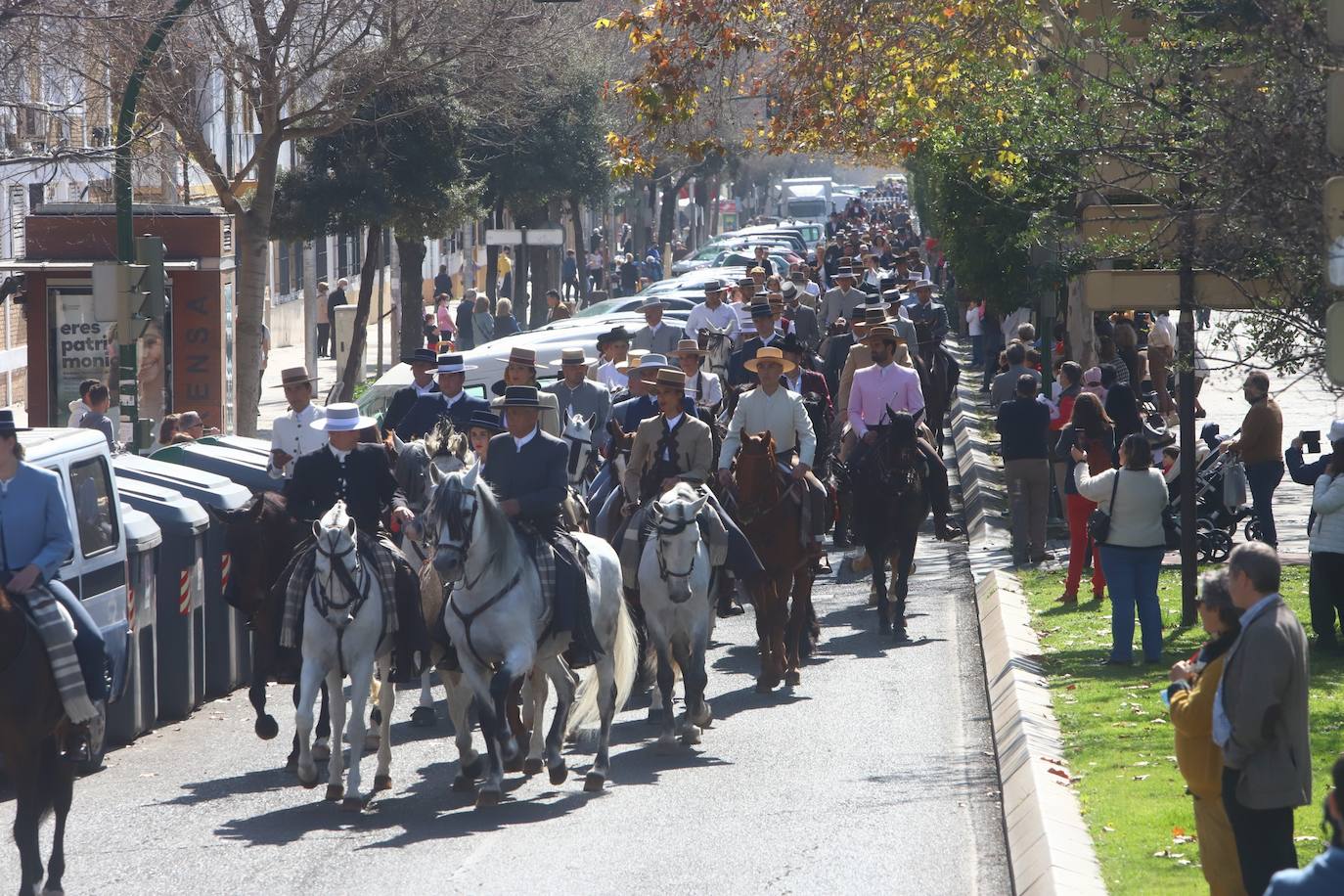 La Marcha Hípica por el día de Andalucía en Córdoba, en imágenes