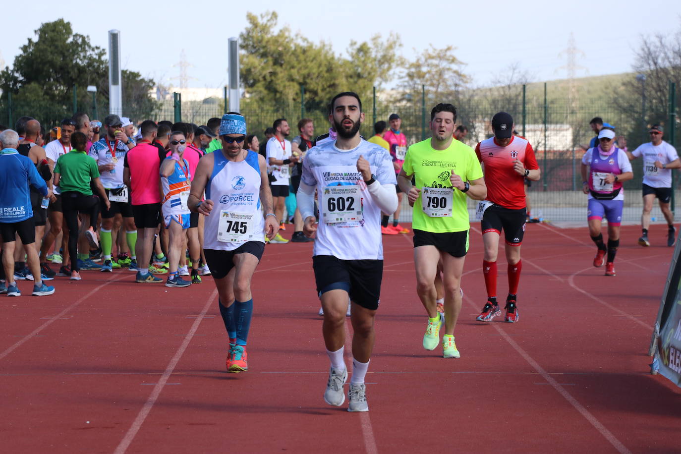 La Media Maratón de Lucena, en imágenes