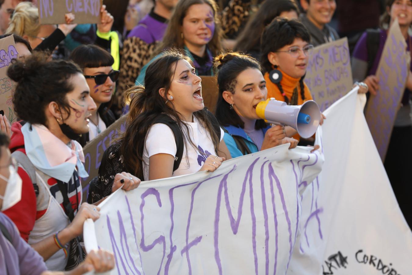 La manifestación del Día Internacional de la Mujer en Córdoba, en imágenes