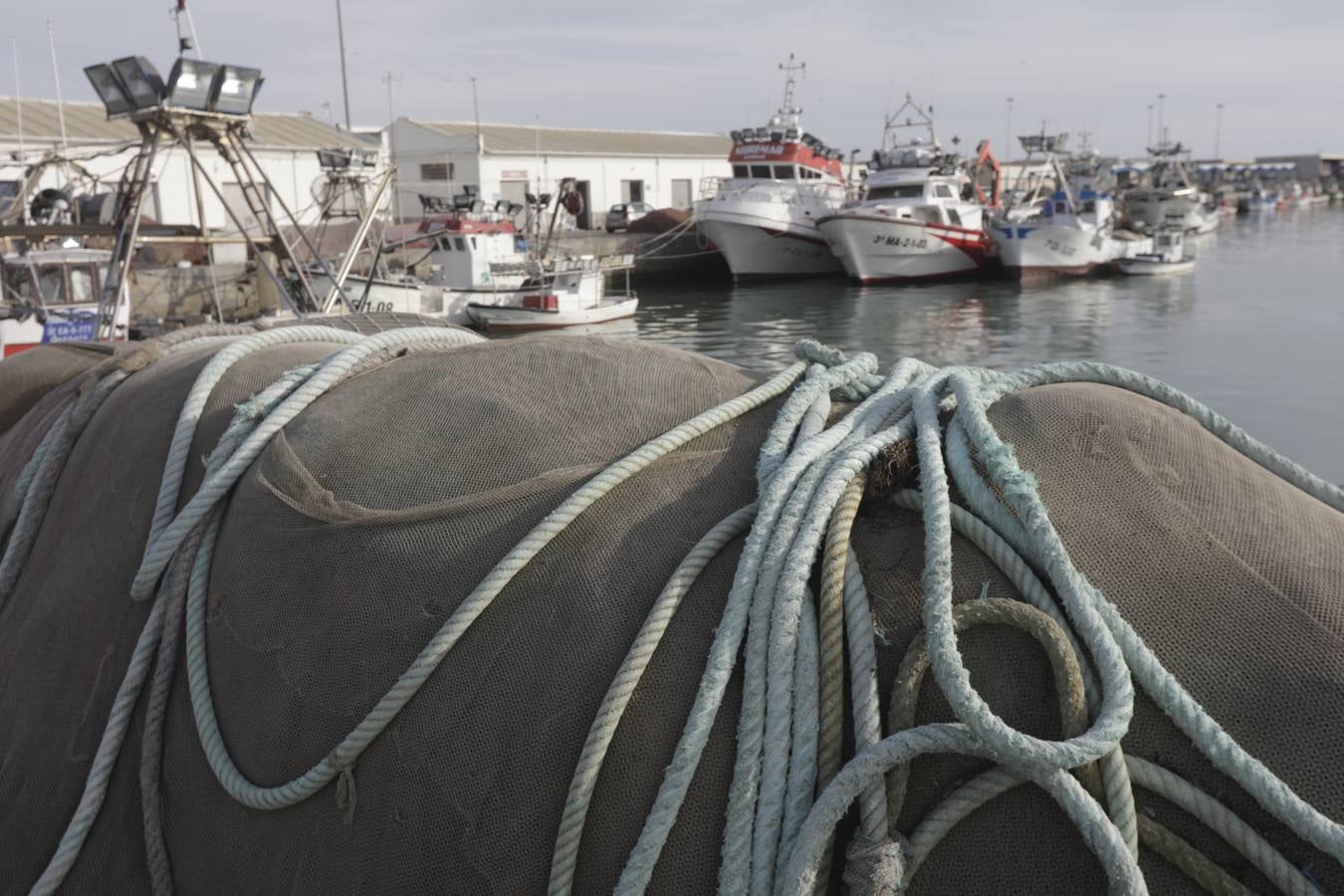 Foros: Paro indefinido de la flota de cerco de Barbate por la subida del combustible