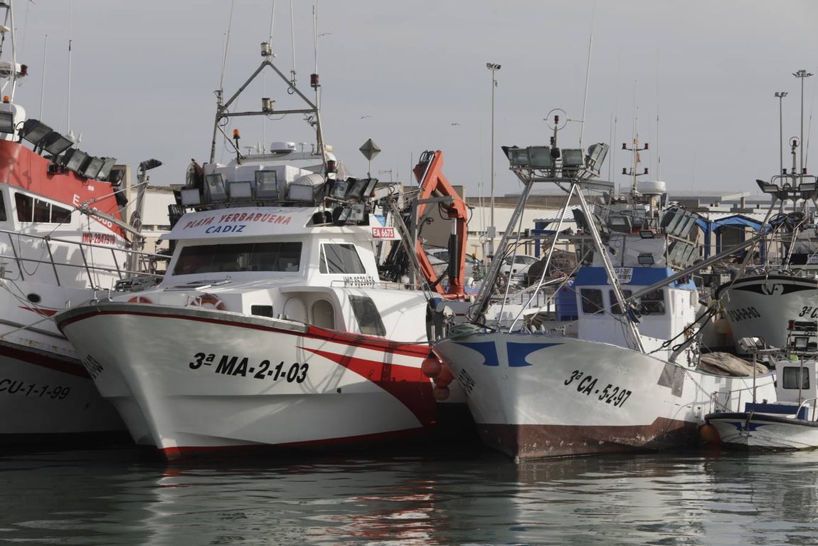 Foros: Paro indefinido de la flota de cerco de Barbate por la subida del combustible