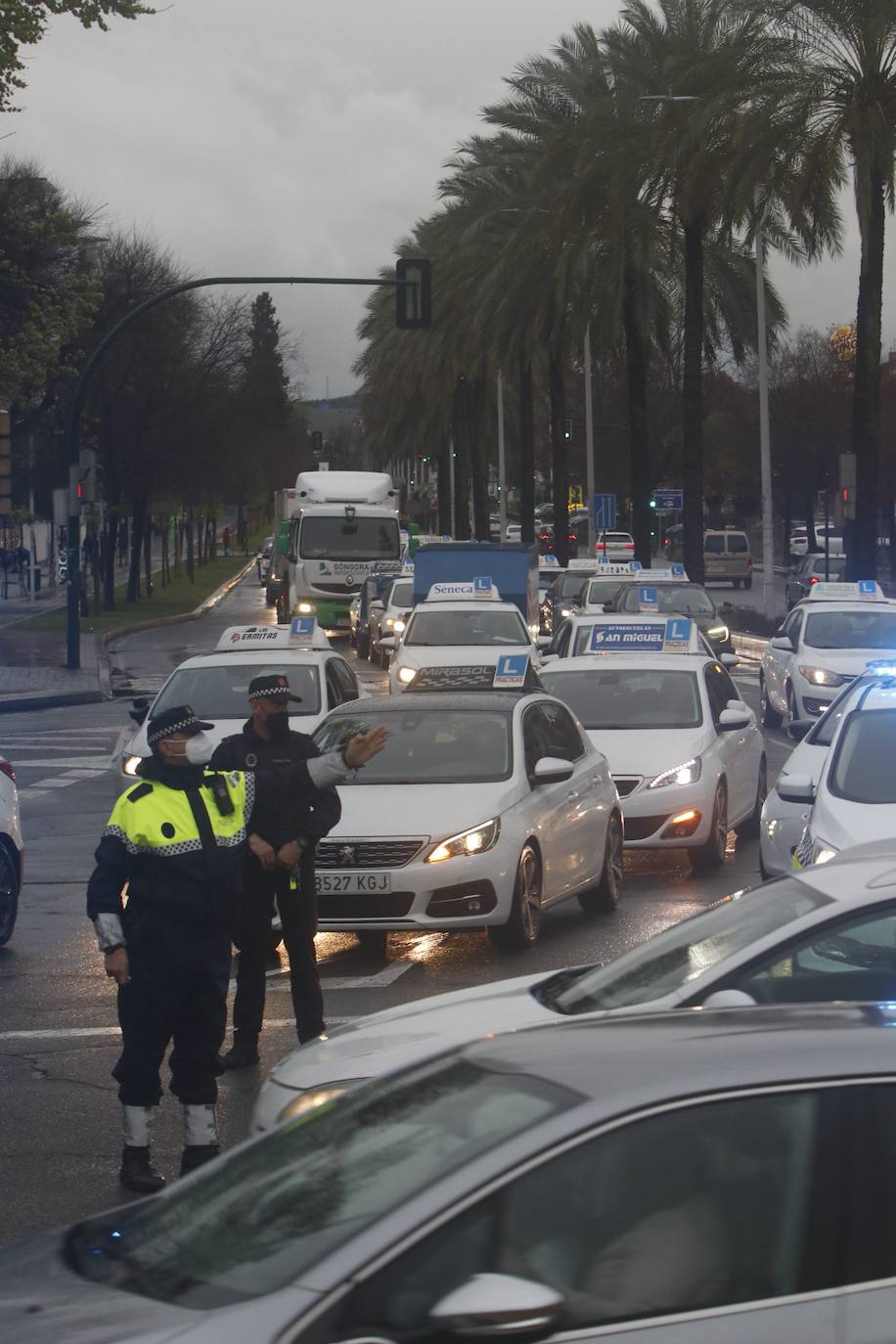 La marcha de protesta de las autoescuelas de Córdoba, en imágenes