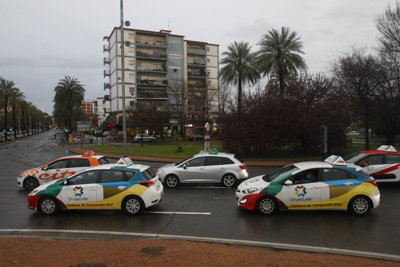 La marcha de protesta de las autoescuelas de Córdoba, en imágenes