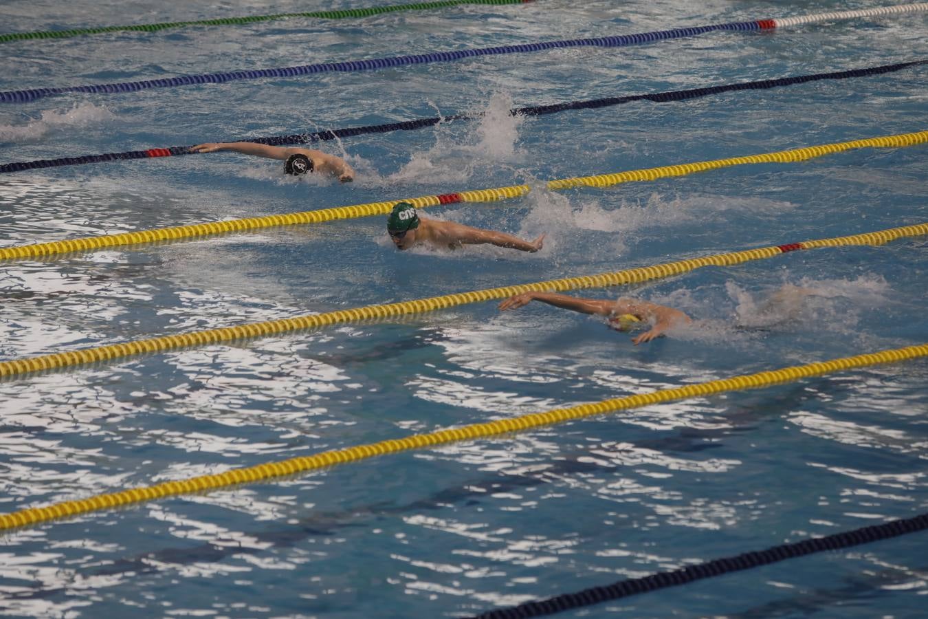 FOTOS: El Campeonato de España Infantil de natación en Cádiz