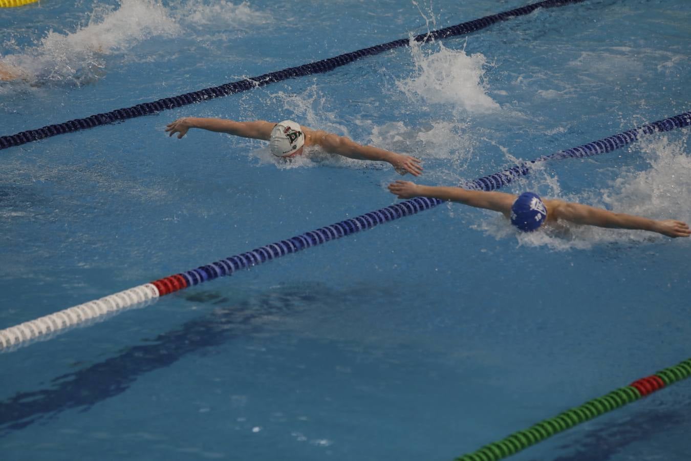 FOTOS: El Campeonato de España Infantil de natación en Cádiz