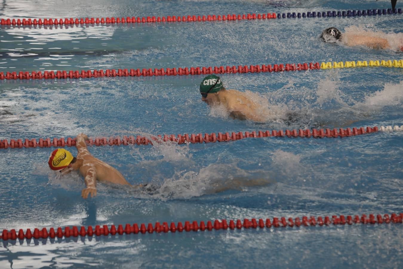 FOTOS: El Campeonato de España Infantil de natación en Cádiz