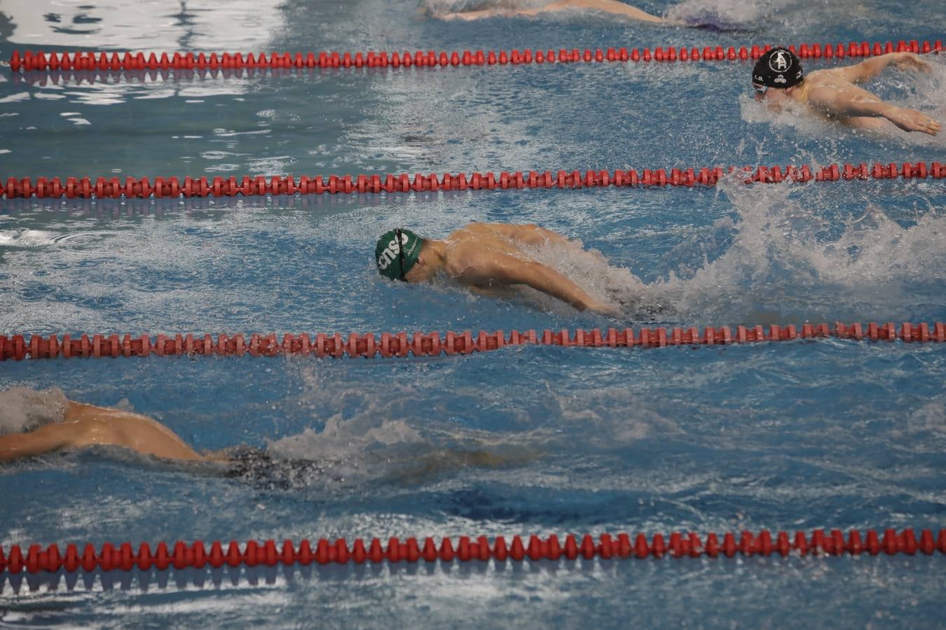 FOTOS: El Campeonato de España Infantil de natación en Cádiz