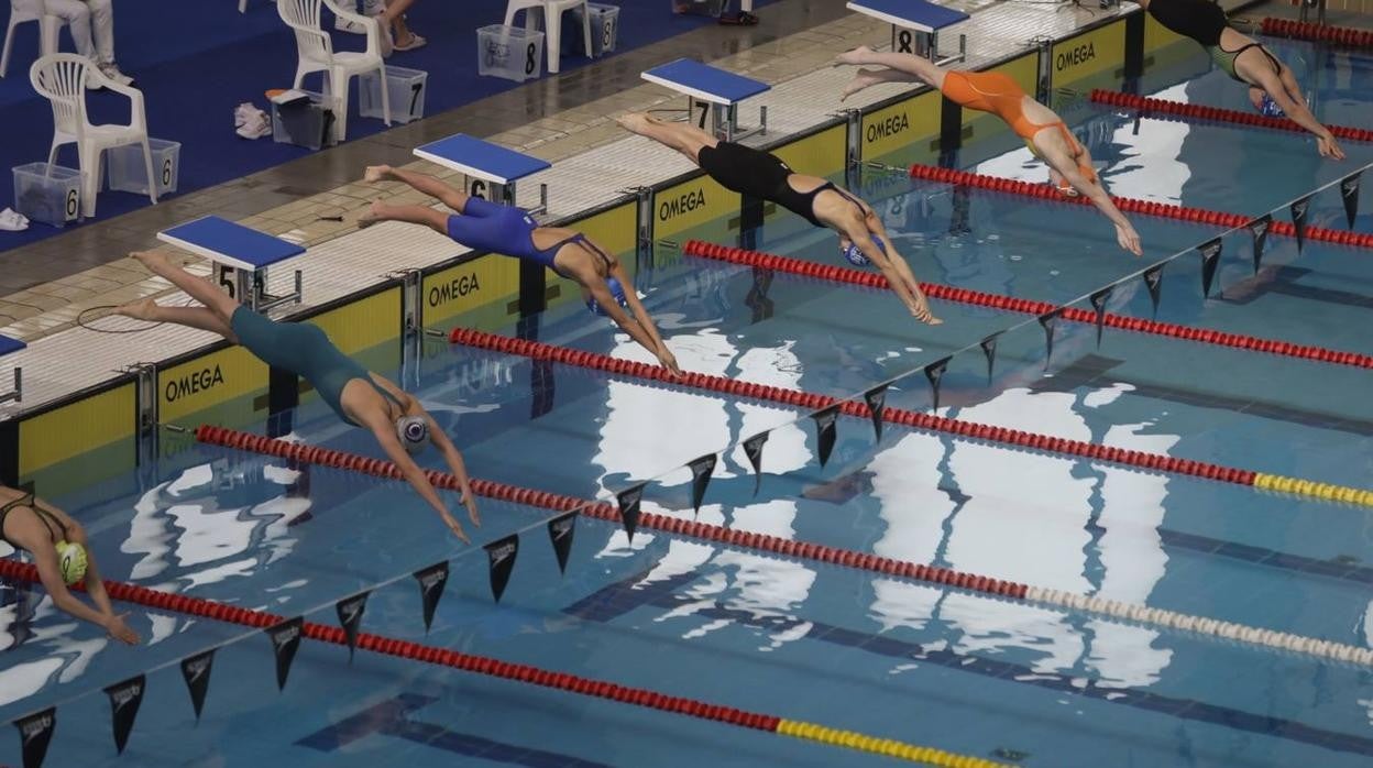 FOTOS: El Campeonato de España Infantil de natación en Cádiz