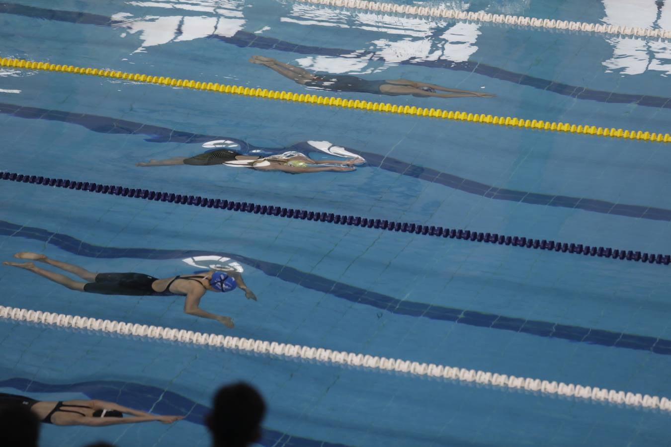 FOTOS: El Campeonato de España Infantil de natación en Cádiz