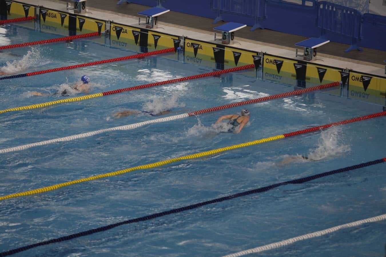 FOTOS: El Campeonato de España Infantil de natación en Cádiz