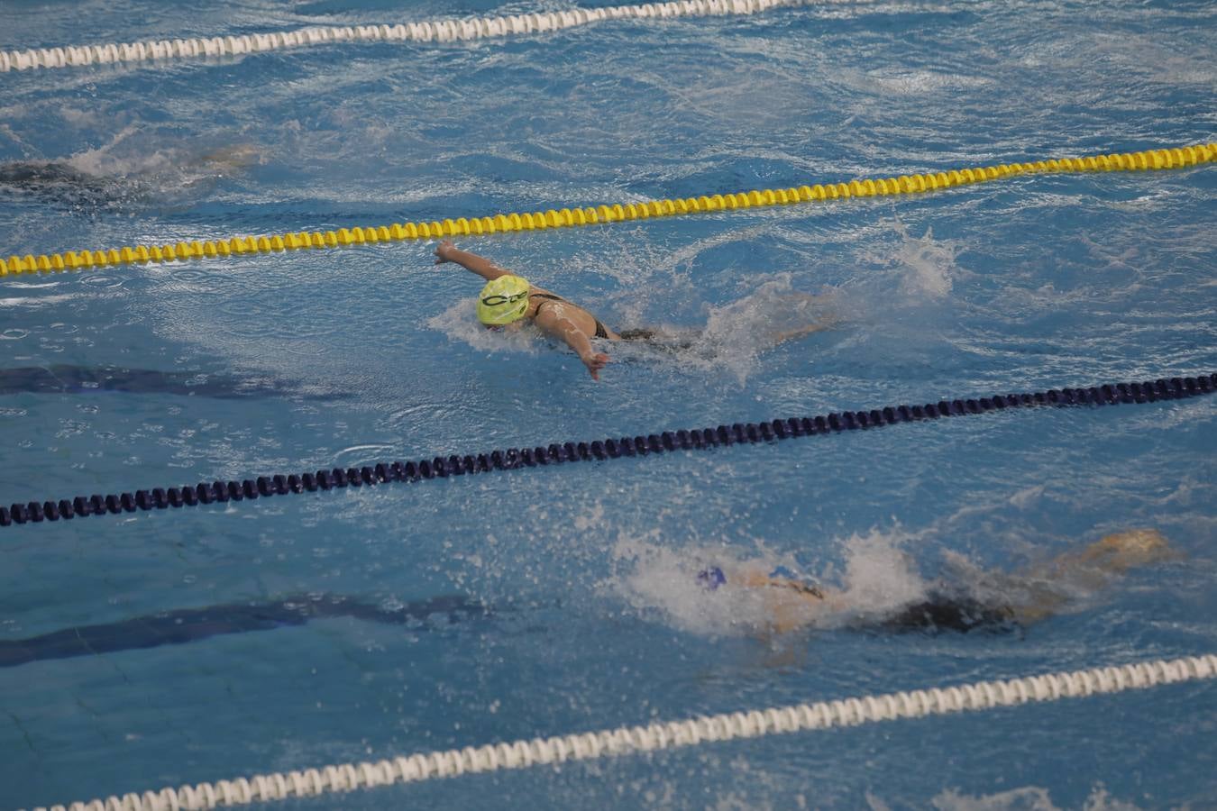 FOTOS: El Campeonato de España Infantil de natación en Cádiz