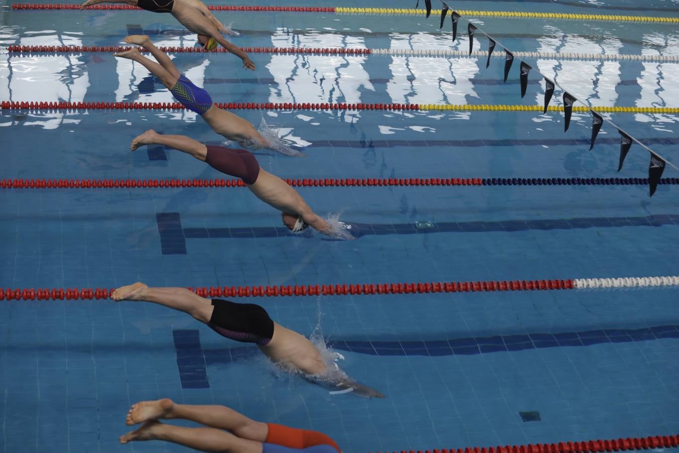 FOTOS: El Campeonato de España Infantil de natación en Cádiz