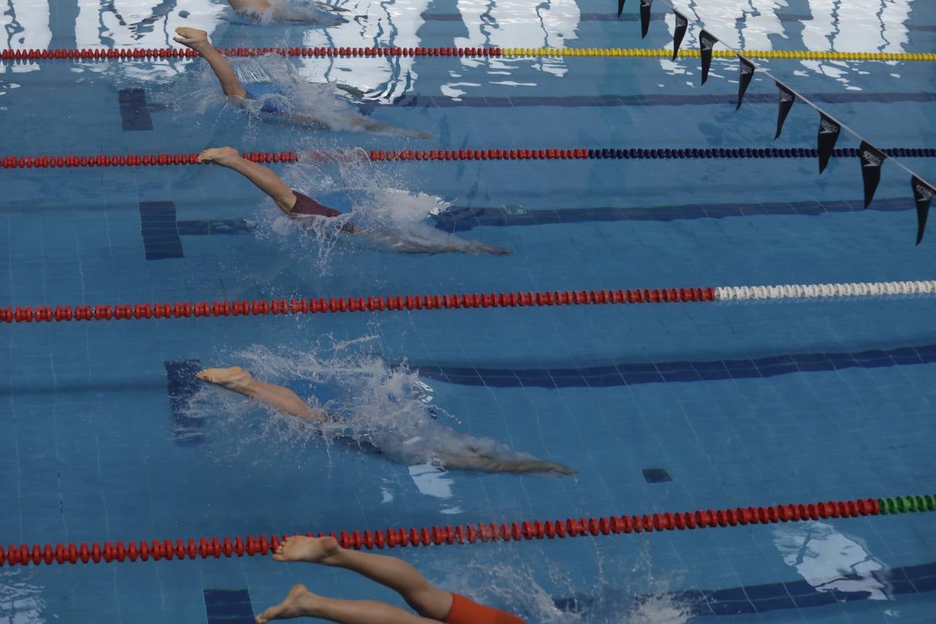 FOTOS: El Campeonato de España Infantil de natación en Cádiz