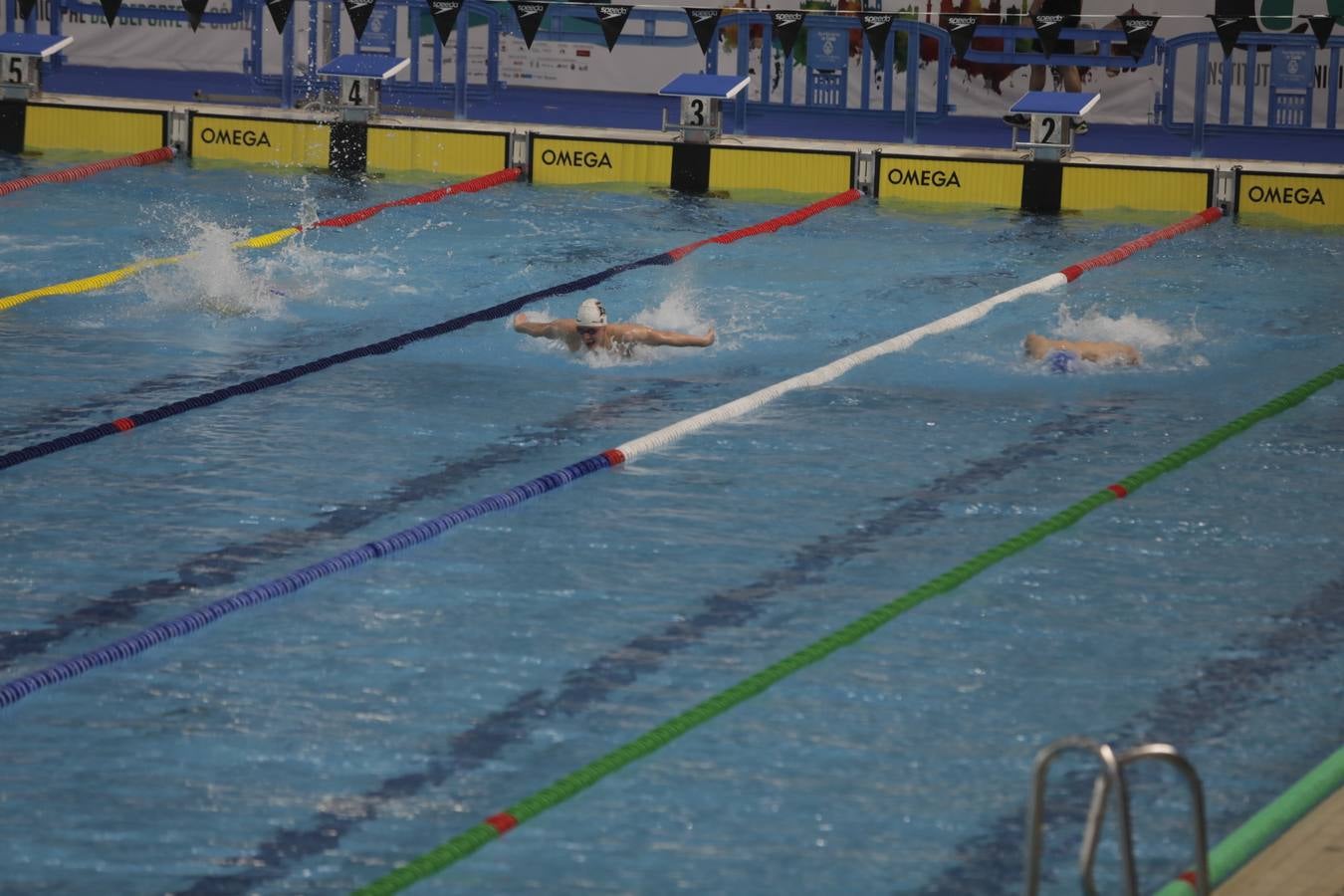 FOTOS: El Campeonato de España Infantil de natación en Cádiz