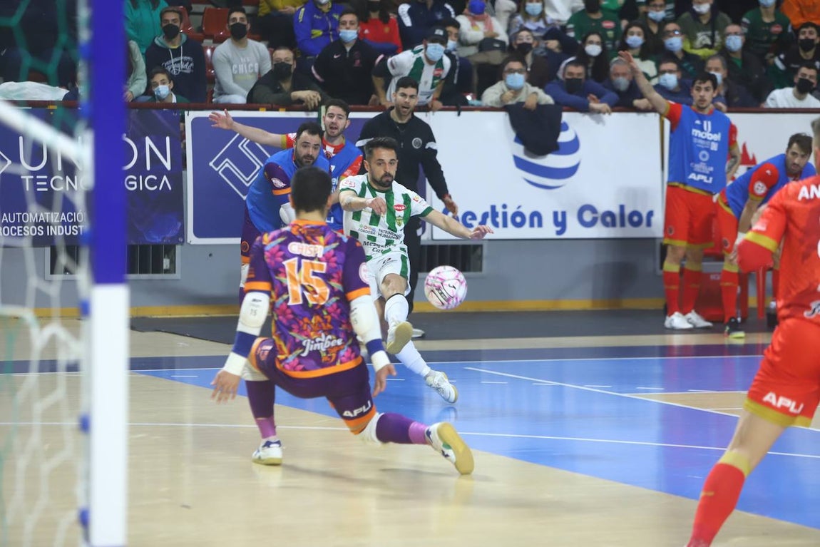 El Córdoba Patrimonio - Jimbee Cartagena de fútbol sala, en imágenes