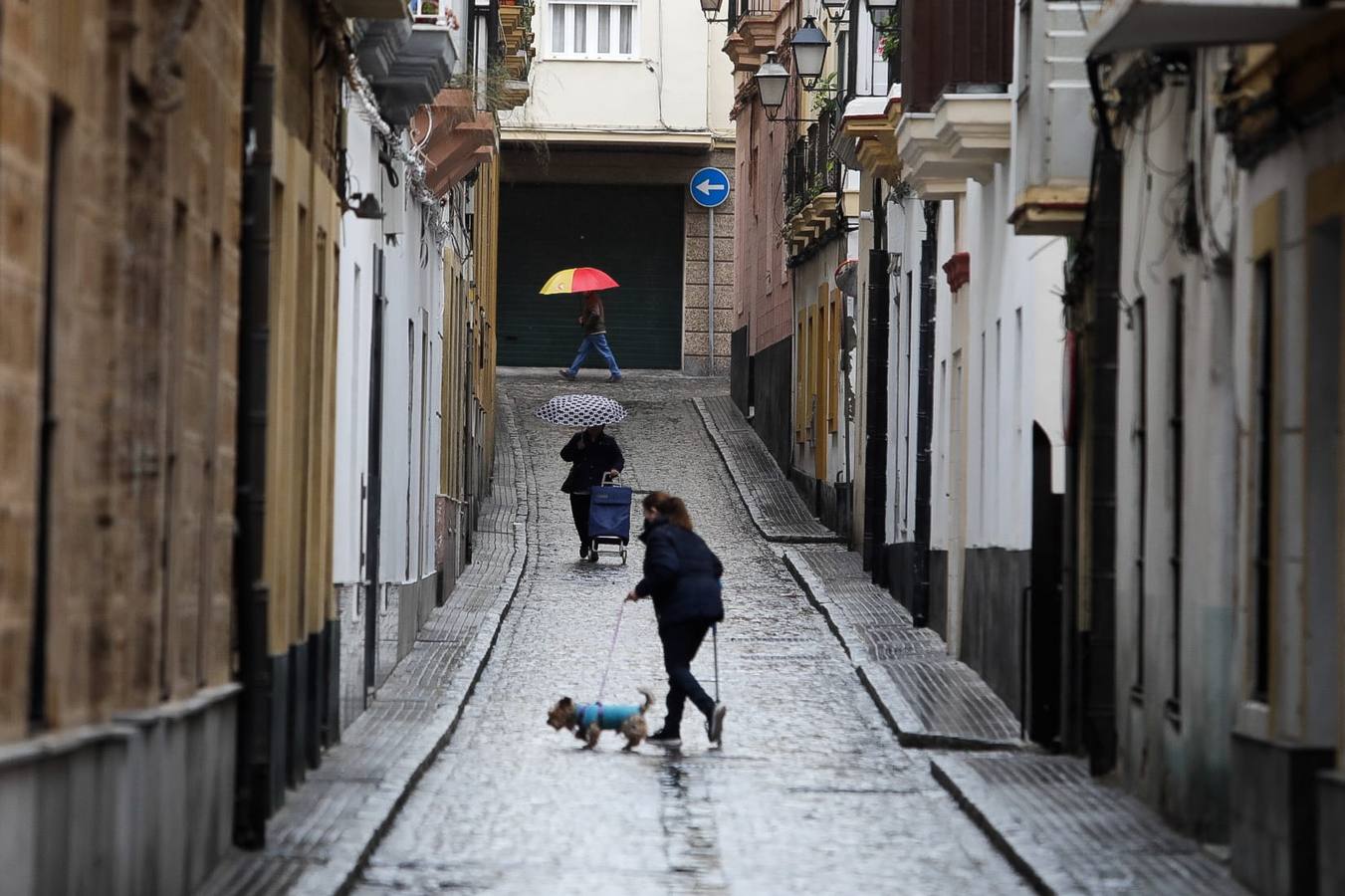 Fotos: Cádiz esquiva a la calima