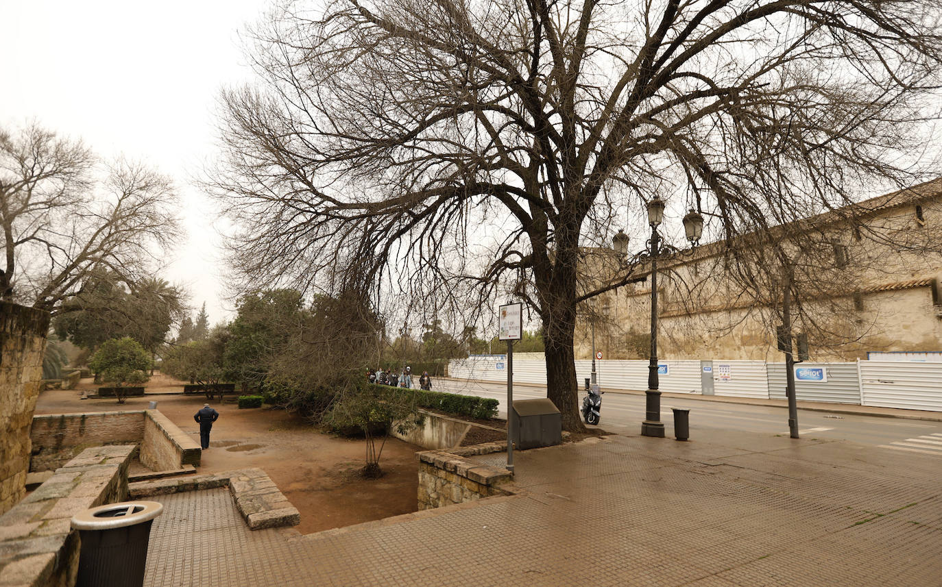 La avenida del Alcázar de Córdoba, en imágenes