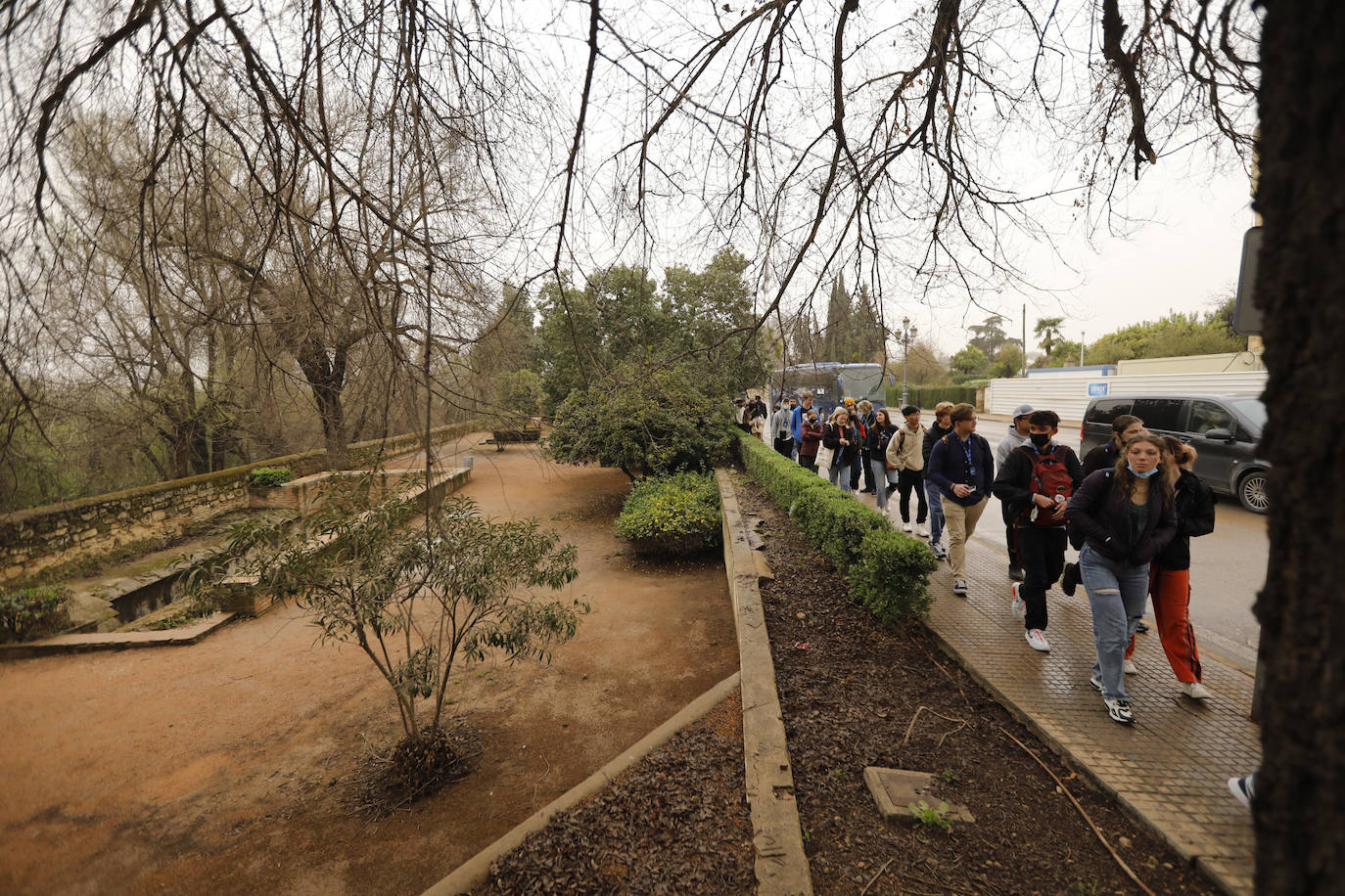 La avenida del Alcázar de Córdoba, en imágenes