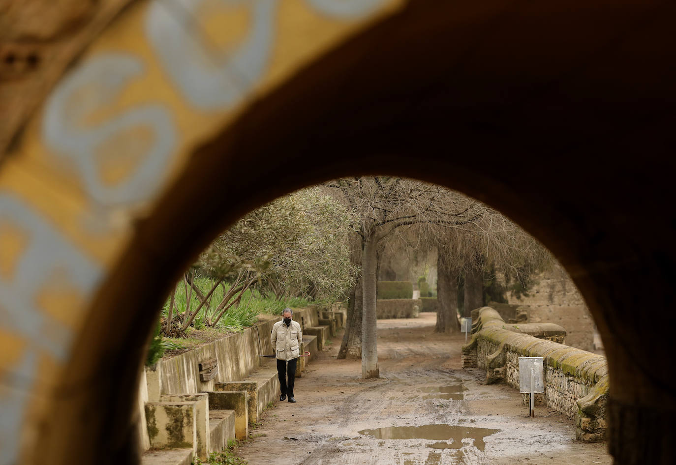 La avenida del Alcázar de Córdoba, en imágenes