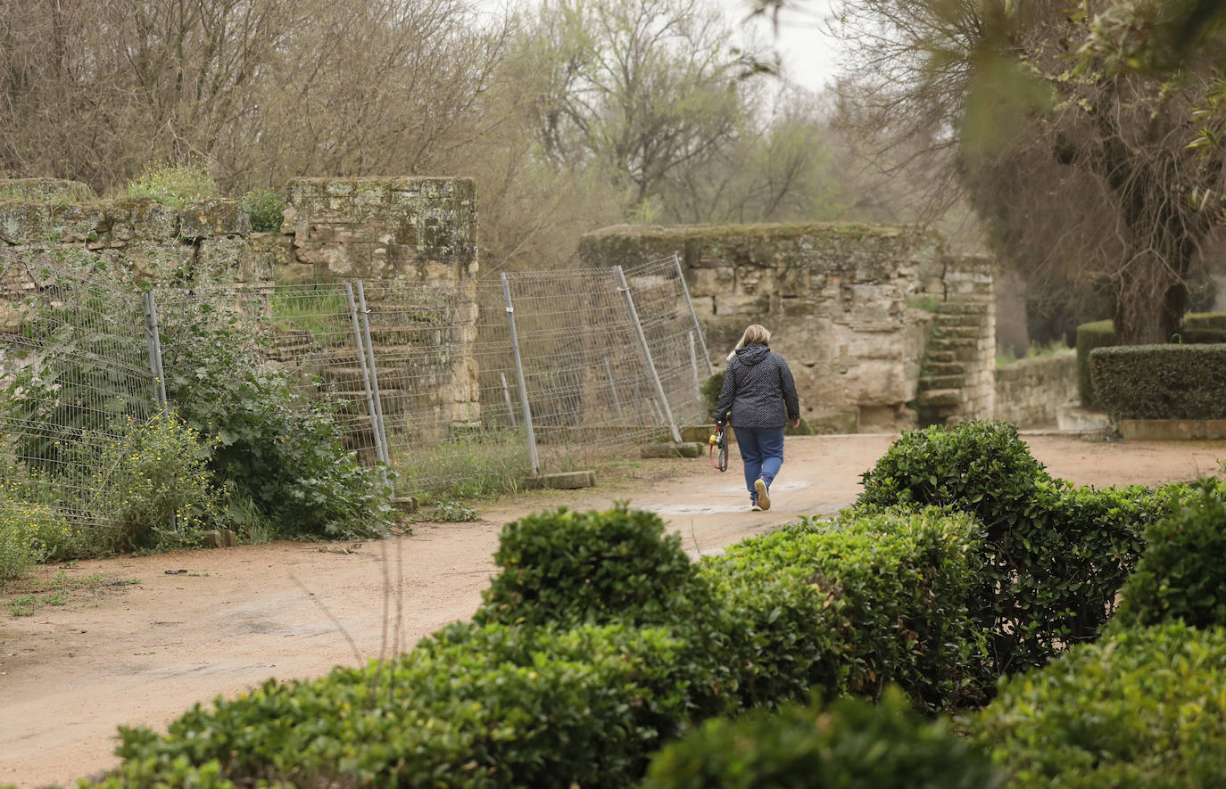 La avenida del Alcázar de Córdoba, en imágenes