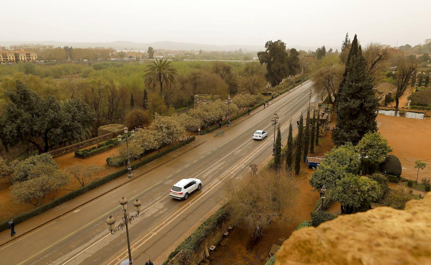 La avenida del Alcázar de Córdoba, en imágenes