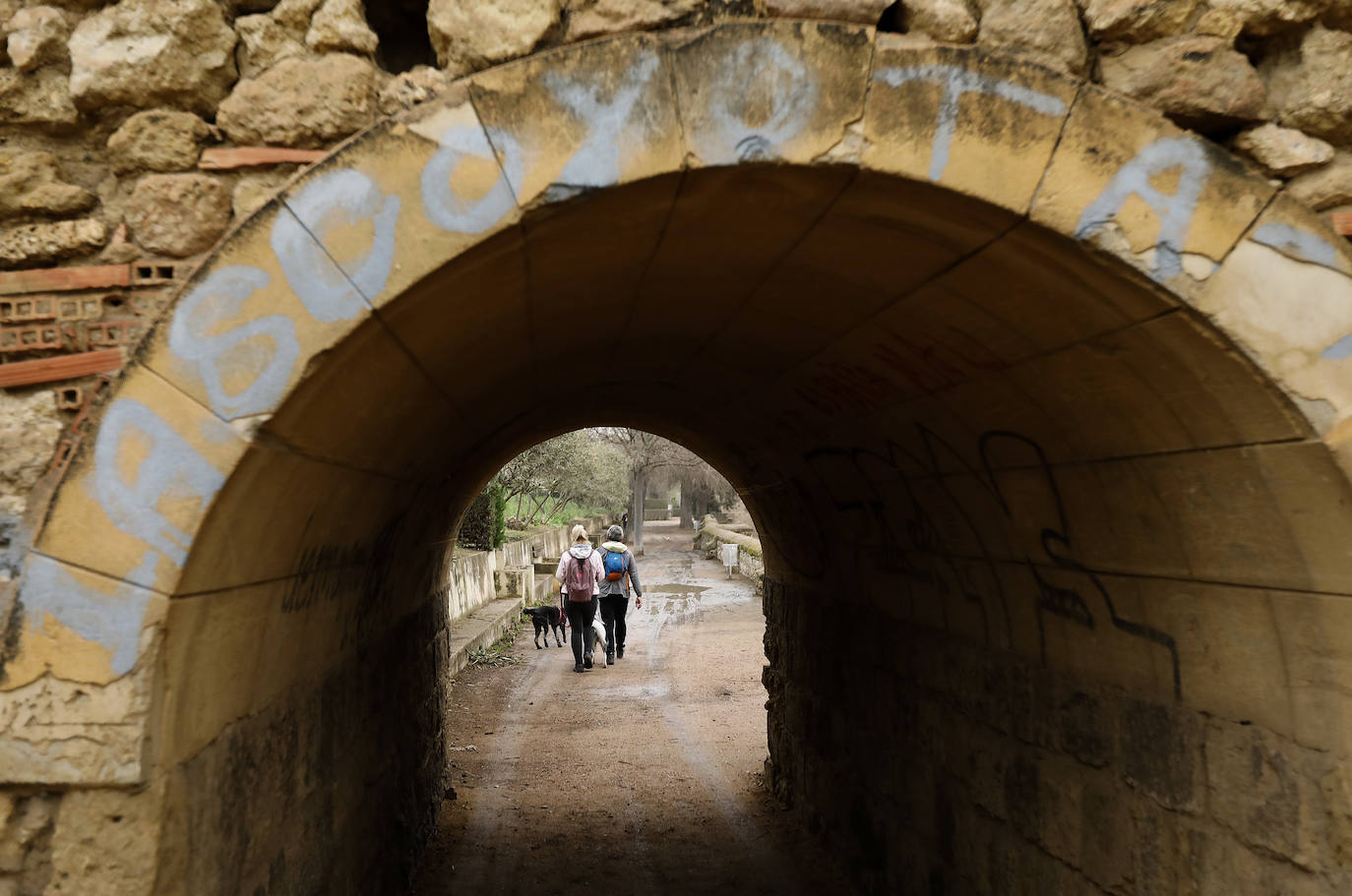 La avenida del Alcázar de Córdoba, en imágenes